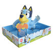 Picture of BLUEY SWIMMING